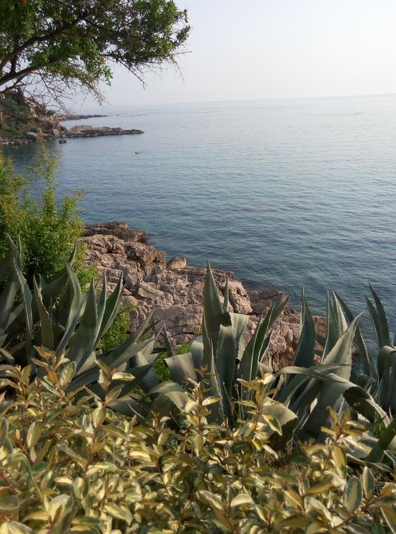 Apartman Marinkovic Dobra Voda Exteriér fotografie