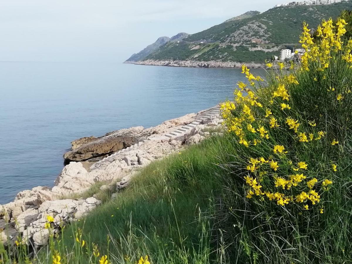 Apartman Marinkovic Dobra Voda Exteriér fotografie